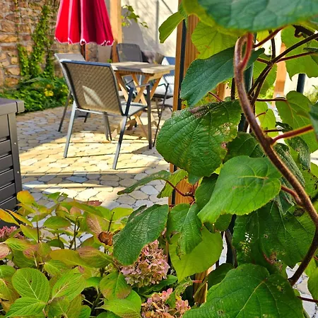 Kiwihof Suedpfalz * Billigheim-Ingenheim