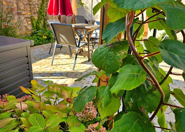 Kiwihof Suedpfalz * Billigheim-Ingenheim